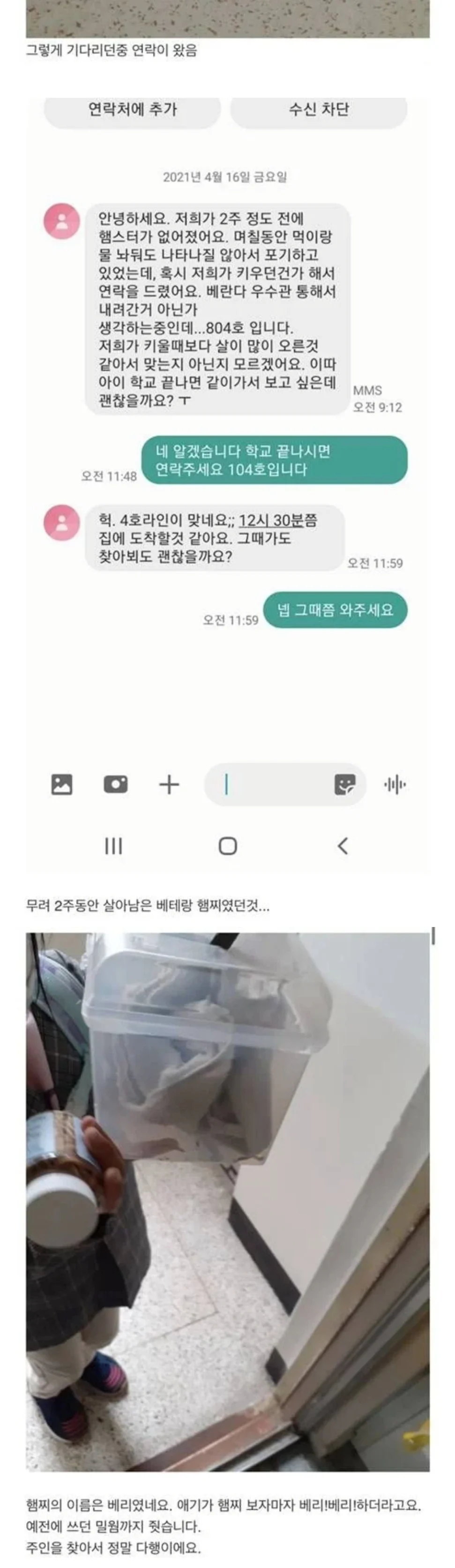 집에서 쥐가 나왔는데 이거 햄스터 같기도 하고 뭘까요 | 인스티즈