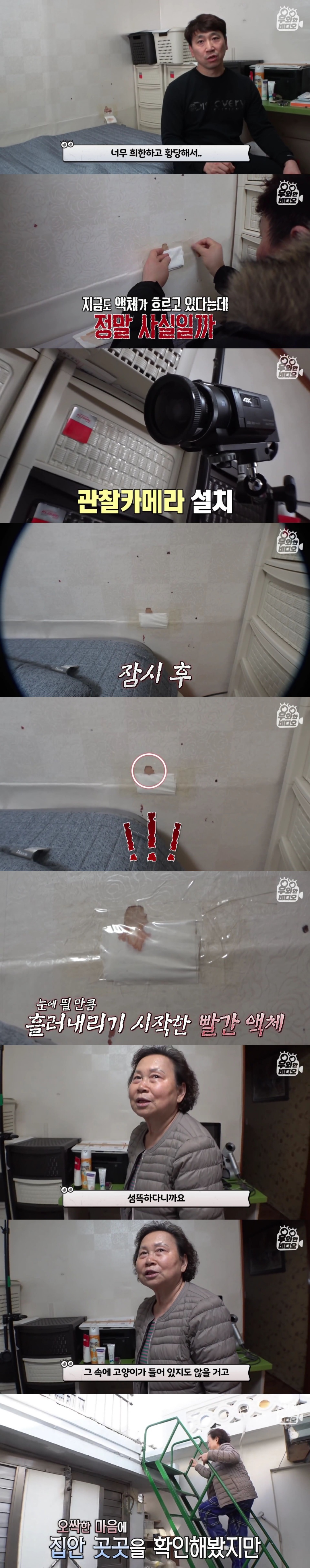 언제부턴가 제 방 벽에서 핏자국이 흘러내려요.. | 인스티즈