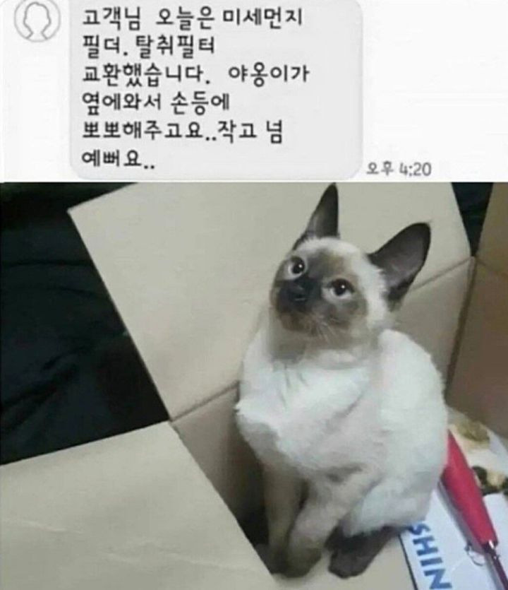 부러워지는 AS 기사님의 문자 | 인스티즈