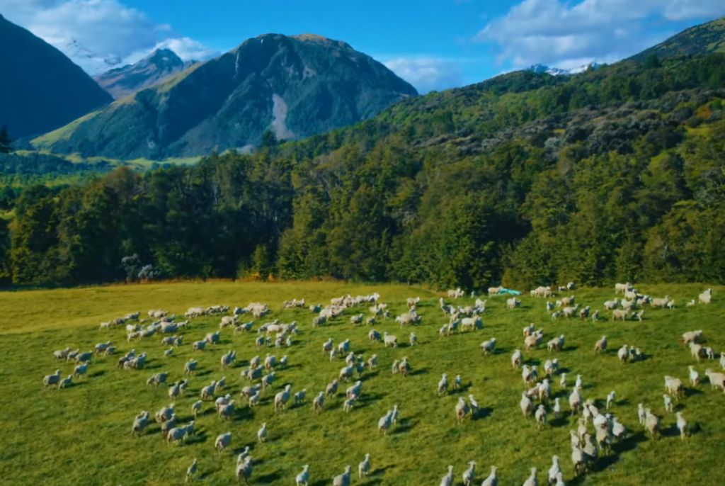 시골 목장 컨셉인듯한 스타쉽 신인 키키(KiiiKiii) | 인스티즈