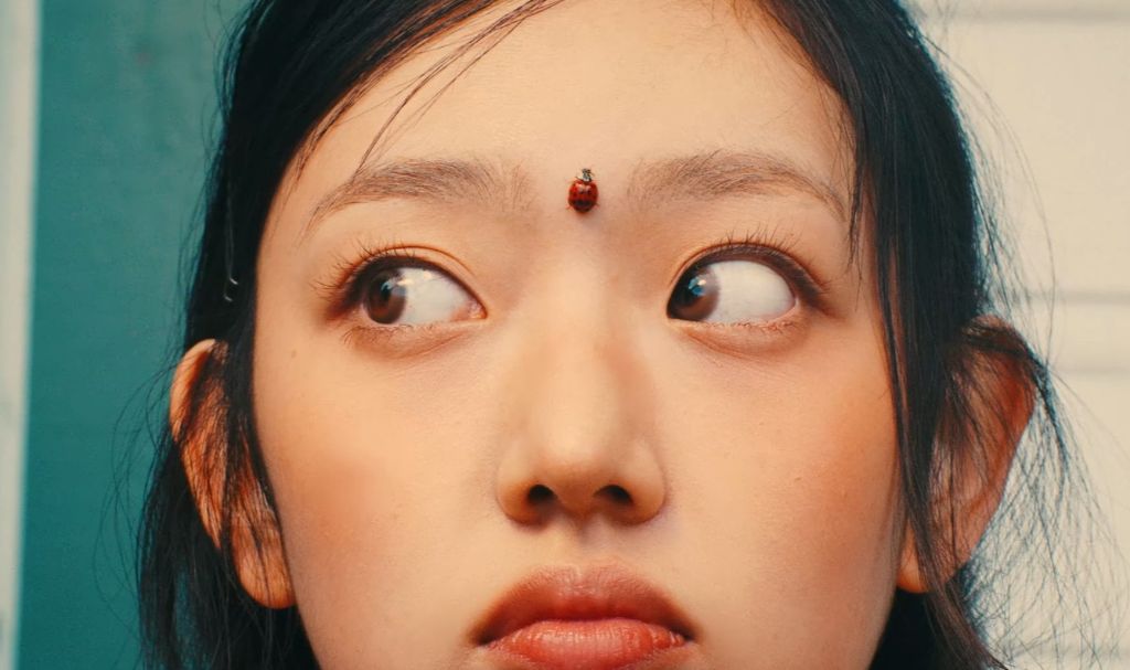 시골 목장 컨셉인듯한 스타쉽 신인 키키(KiiiKiii) | 인스티즈