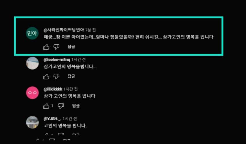 김새론 유튜브 댓글 레전드 | 인스티즈