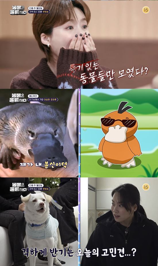 새 아빠가 데프콘 위협…제보자의 특별한 일상 (동훌륭) | 인스티즈