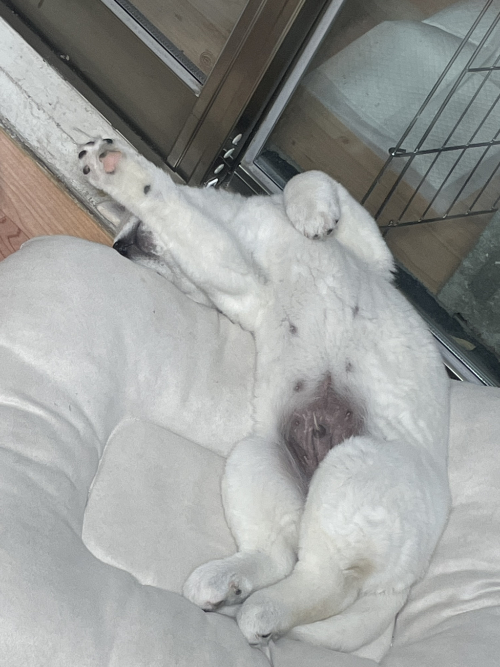 이떻게 이렇게 발을 모아서 자지?? | 인스티즈