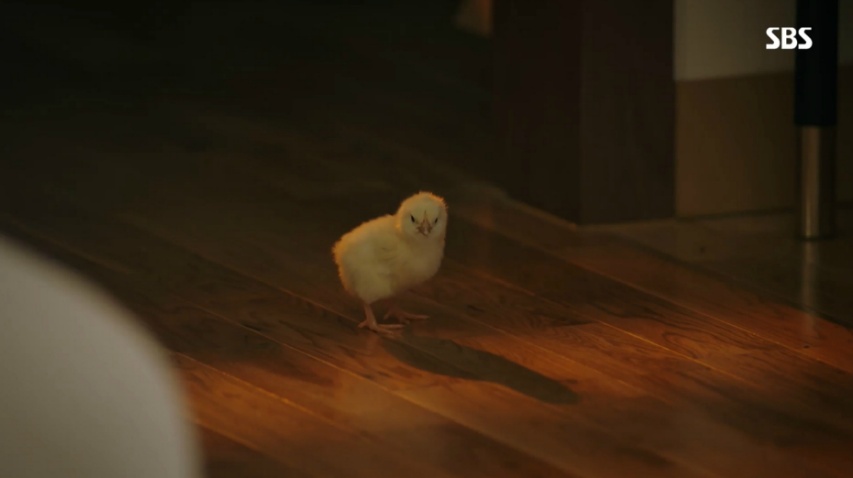 [서른이지만 열일곱입니다] 남의 집에서 지들멋대로 거품목욕하고 난리 | 인스티즈