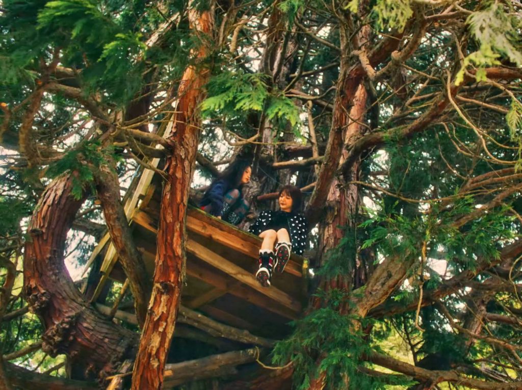 시골 목장 컨셉인듯한 스타쉽 신인 키키(KiiiKiii) | 인스티즈