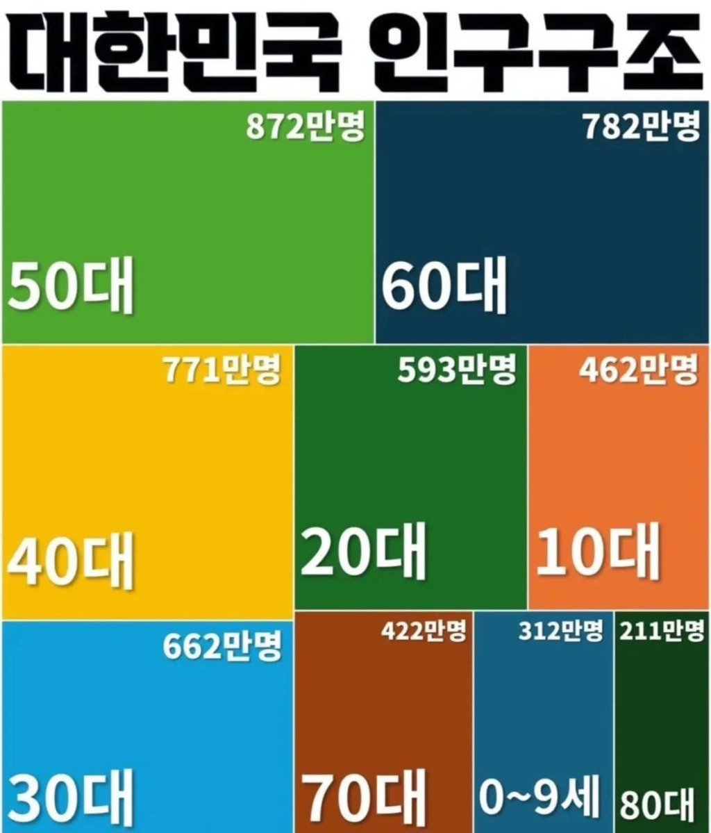 현재 대한민국 인구 구조 | 인스티즈