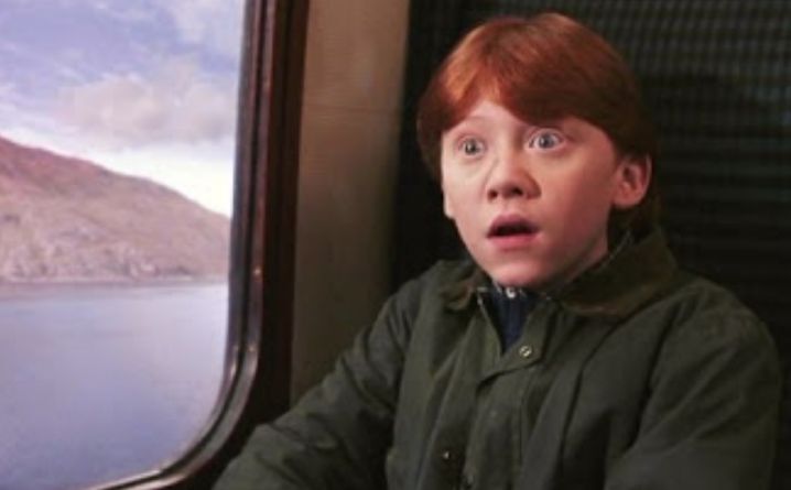 호그와트 만학도 되기 vs 그냥 살기 | 인스티즈