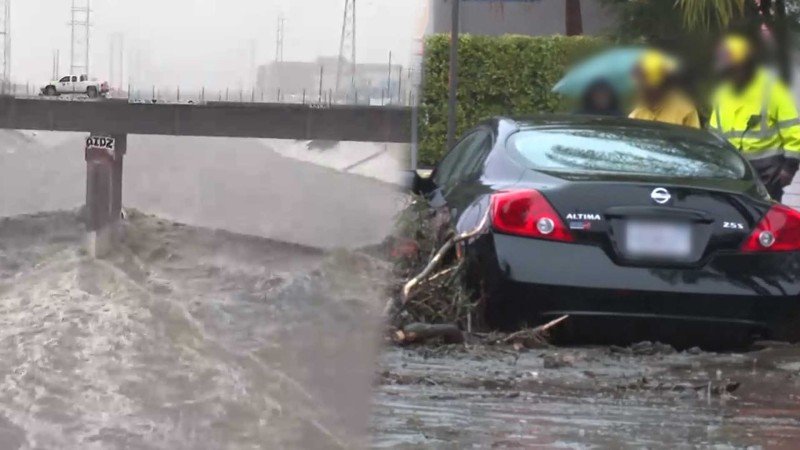 최근 대형 산불로 난리났던 미국 로스앤젤레스(LA) 근황 | 인스티즈
