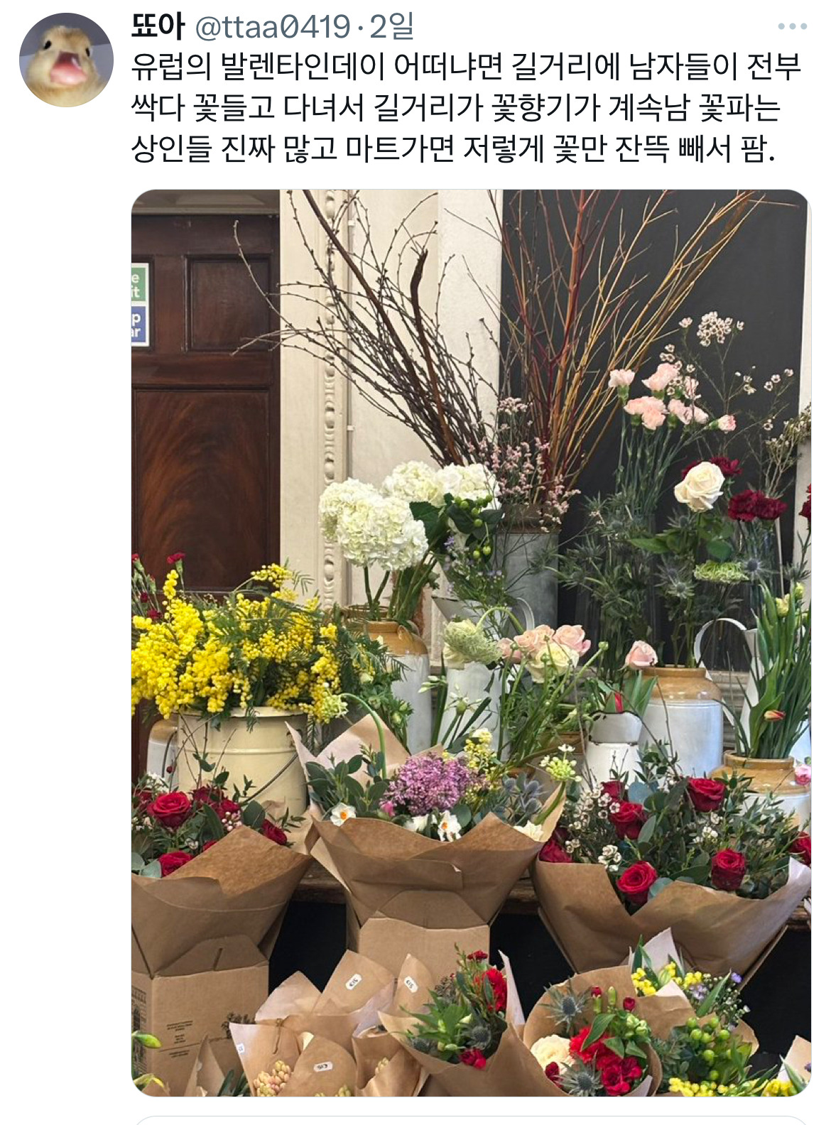 암컷이 성선택의 의무를 다해야 종이 진화할 수 있는데 한국 여자들은 눈이 발바닥에 붙어있어.twt | 인스티즈