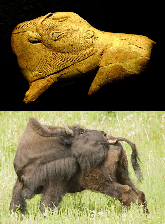 유물 사진 모음 | 인스티즈