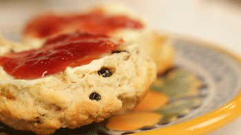 스콘 Scone | 인스티즈