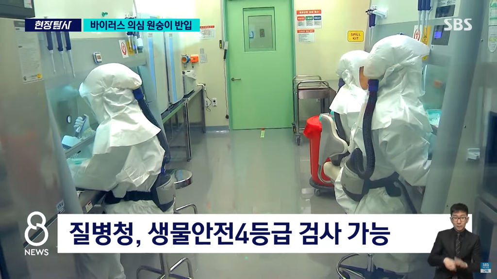 바이러스 의심 원숭이 반입 뉴스 | 인스티즈