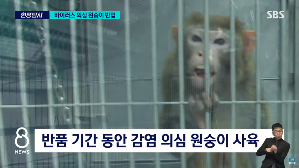 바이러스 의심 원숭이 반입 뉴스 | 인스티즈