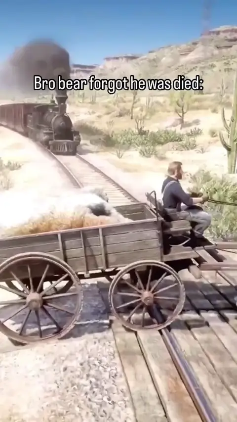 죽은 곰도 되살린다는 기차 사고 | 인스티즈