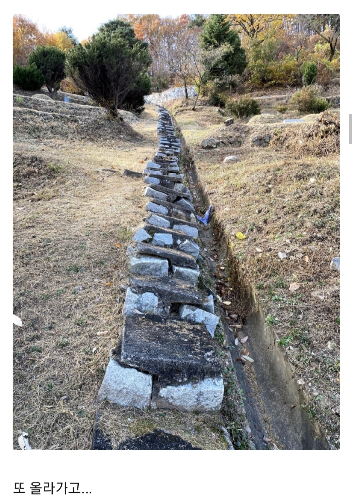 김재규 묘소 방문기.jpg | 인스티즈