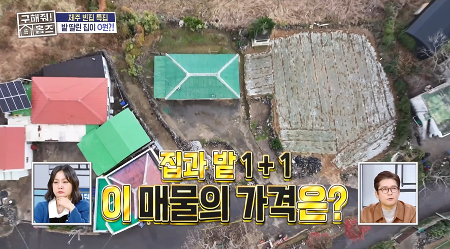 제주도 1년살이 해보고 싶은 사람들에게 난리 났다는 집 | 인스티즈