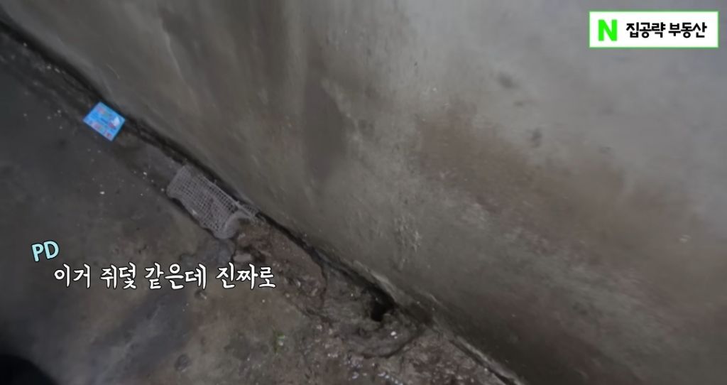 서울 월세 35만원에 살수있는 반반지하 | 인스티즈