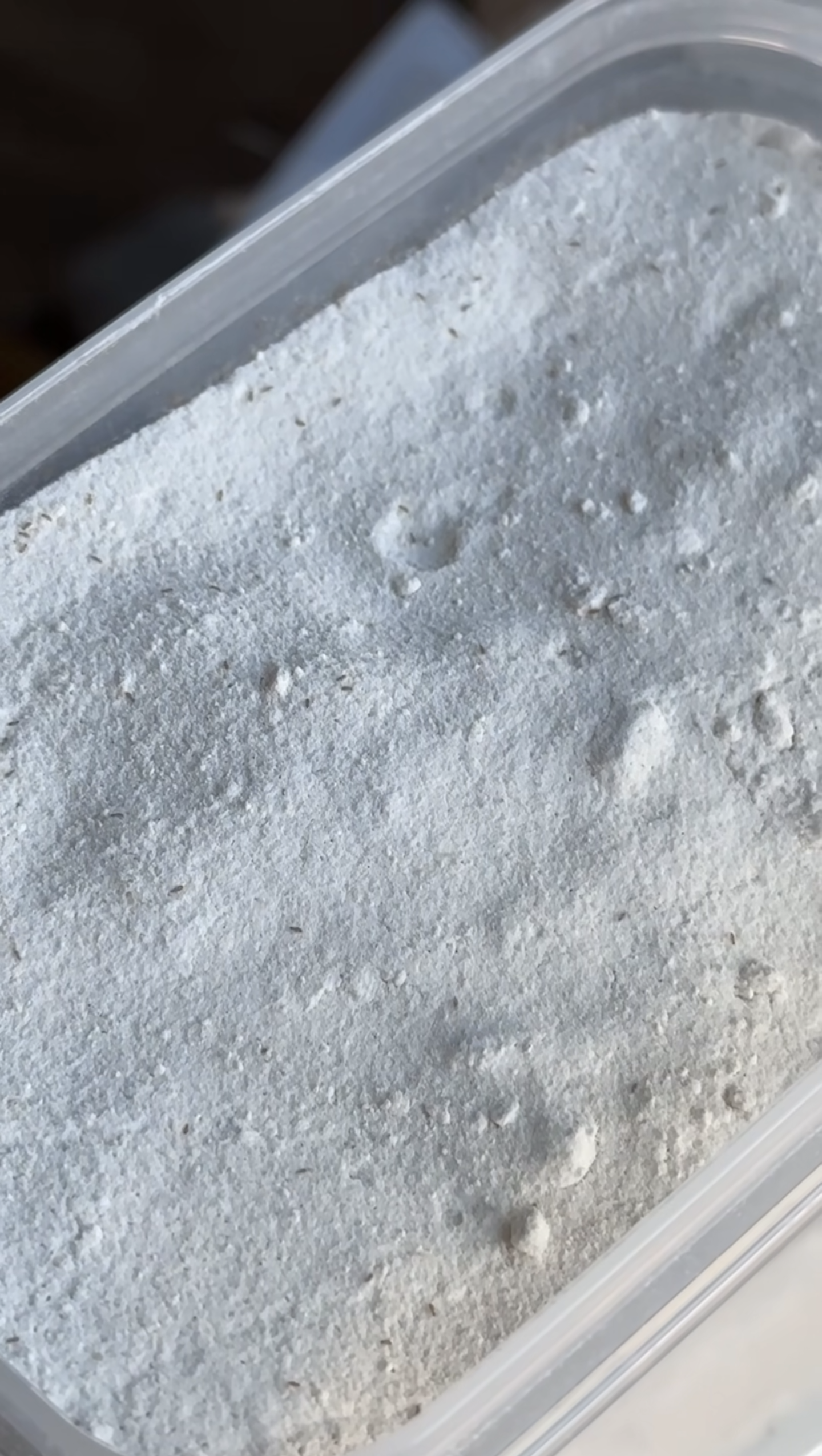 베이킹하려고 밀가루 꺼냈다가 충격먹은 사람 | 인스티즈