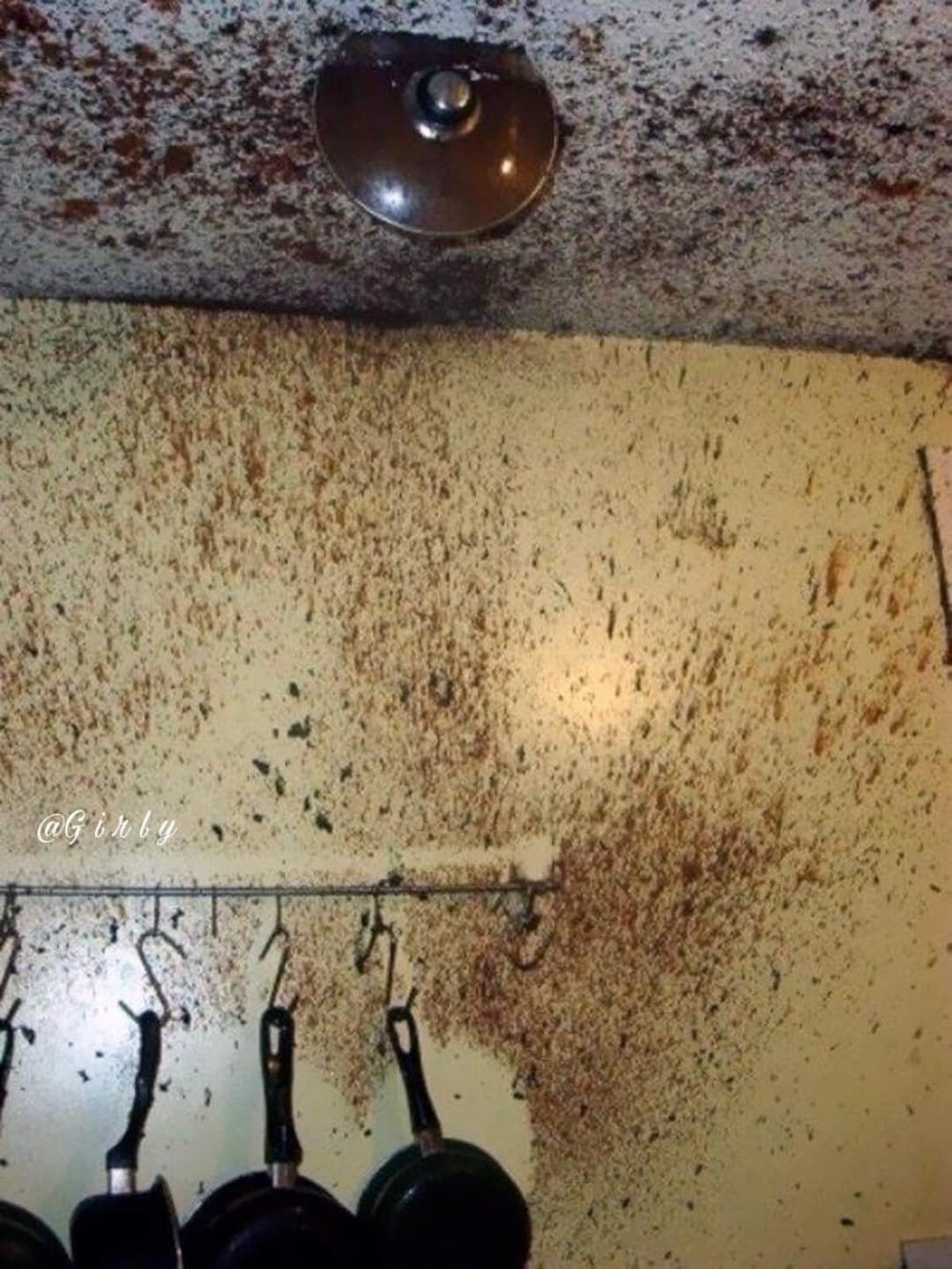 상식이 없는 자에게 주방일을 맡기면 | 인스티즈