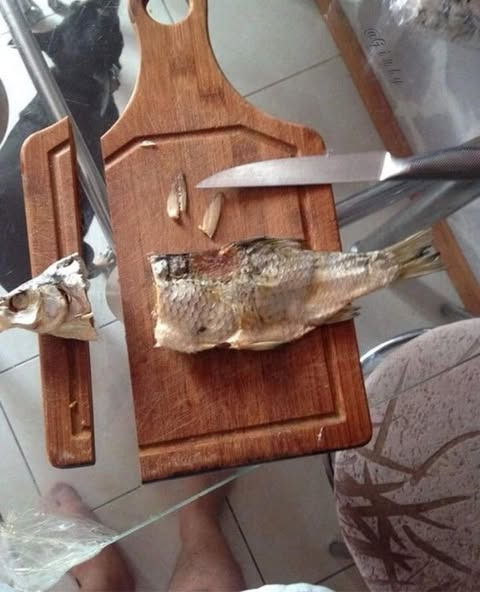 상식이 없는 자에게 주방일을 맡기면 | 인스티즈