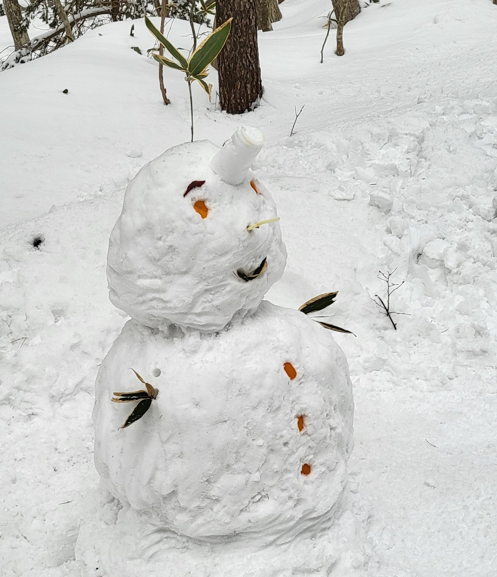 한라산에서도 눈오리를 만드는 한국인들.jpg | 인스티즈