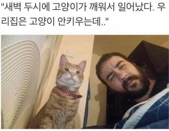 intp여시 웃음지뢰짤 모음 12 | 인스티즈