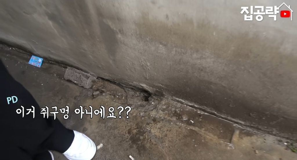 서울 월세 35만원에 살수있는 반반지하 | 인스티즈