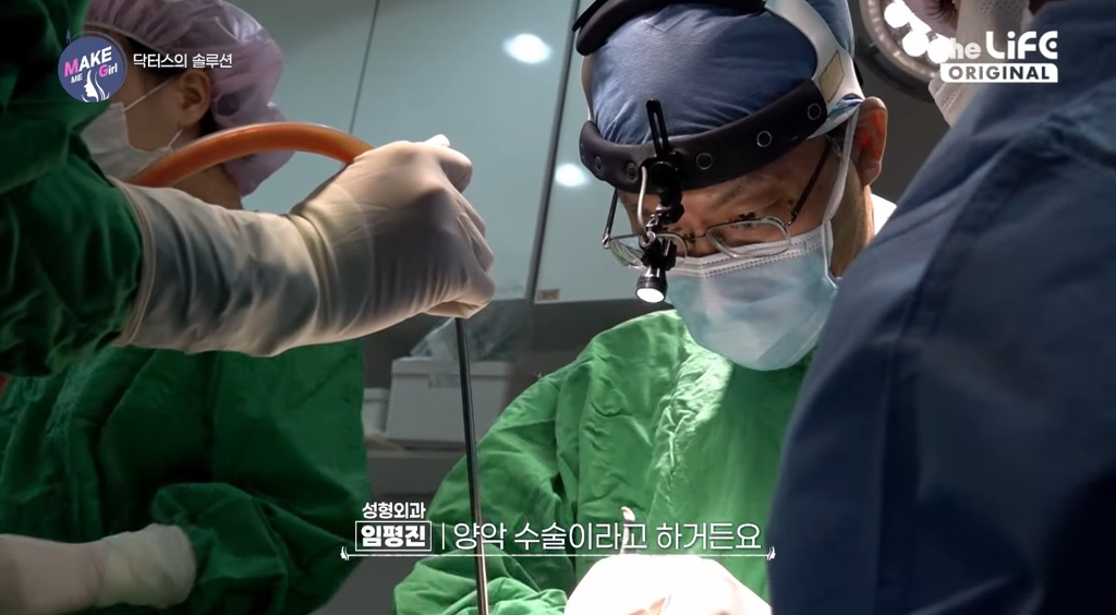 렛미인 후속 프로그램 같다는 make me girl (맥미걸).jpg | 인스티즈