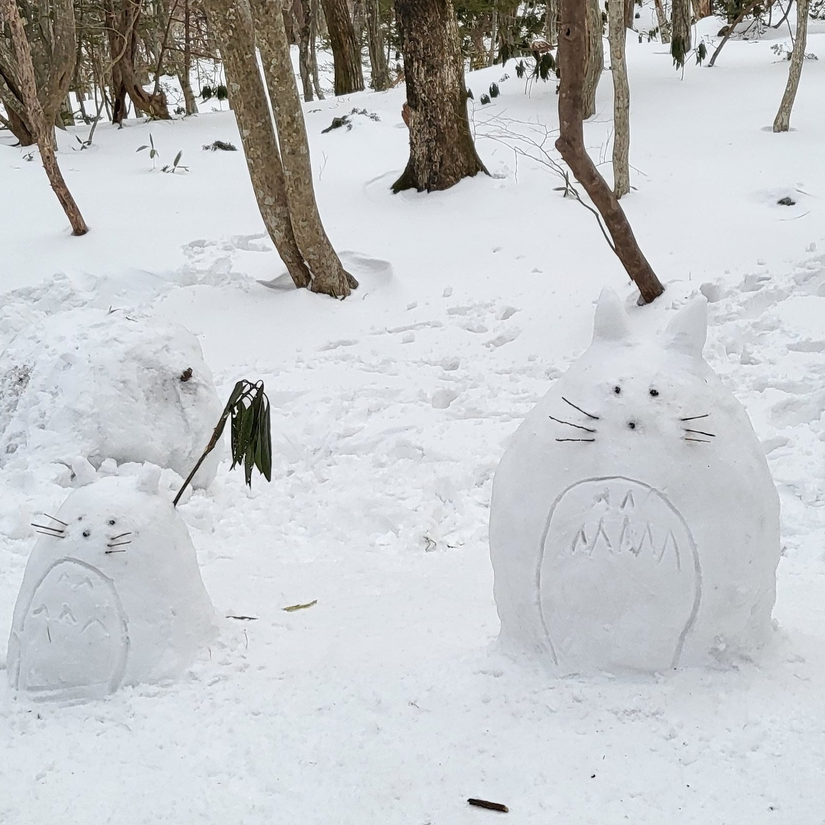 한라산에서도 눈오리를 만드는 한국인들.jpg | 인스티즈