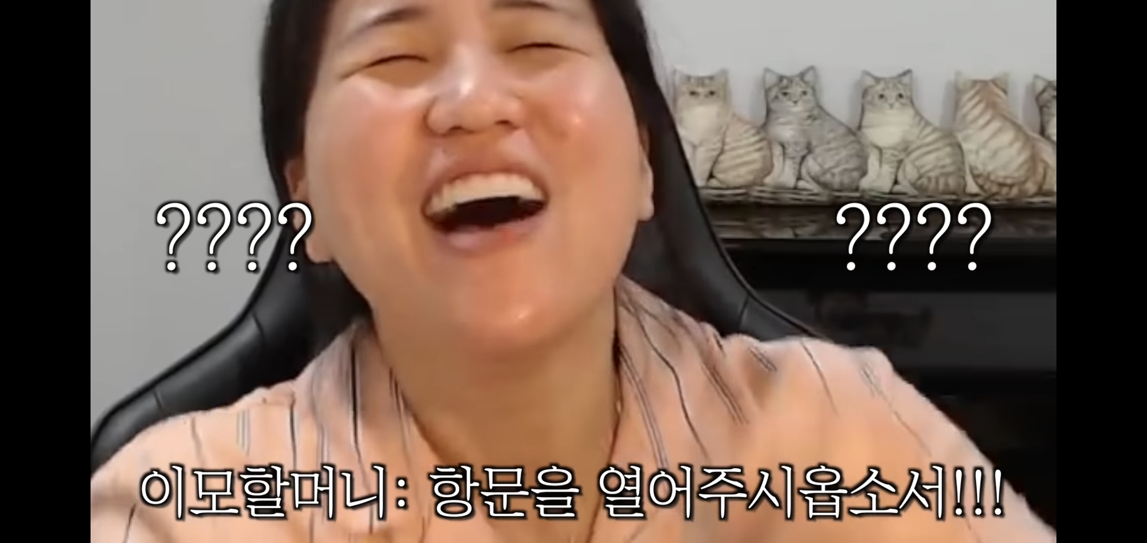 진짜 개웃긴 유튜버 해쭈 어머님 출산 SSUL | 인스티즈