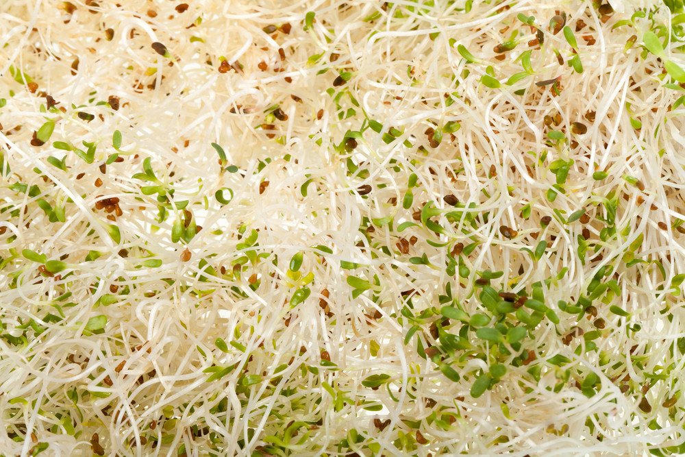 당뇨병 전 단계일 때, '이 채소' 많이 먹으면 혈당 다시 낮아진다 | 인스티즈