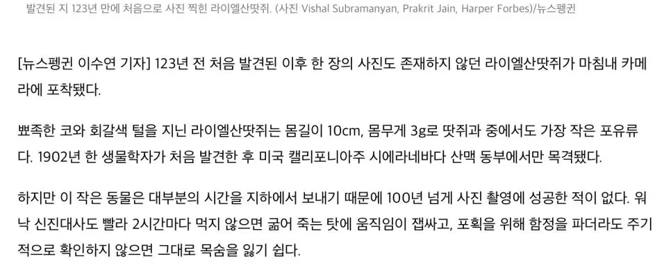 120년 만에 사진 찍힌 동물 | 인스티즈