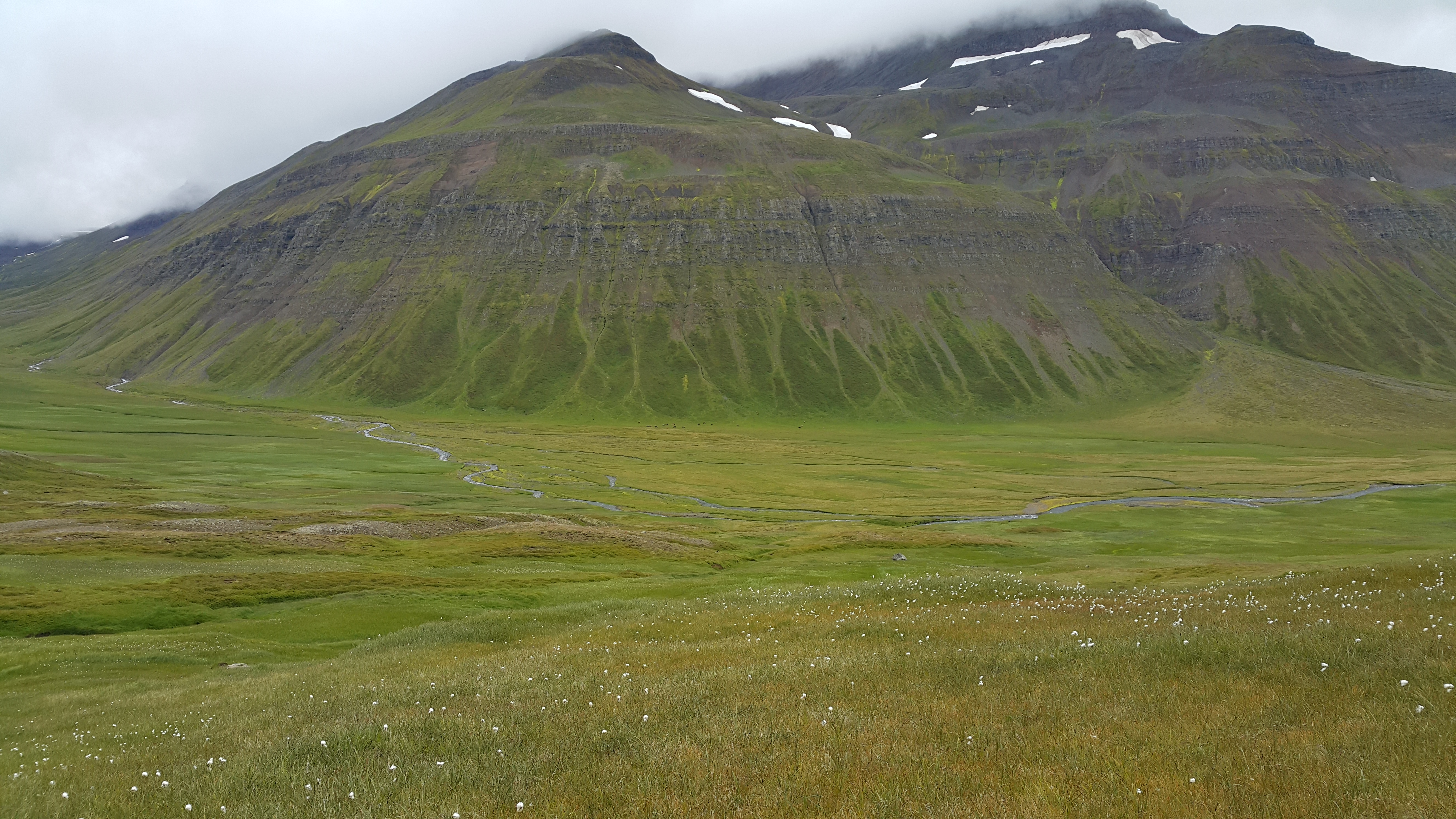 Iceland 2016.08 | 인스티즈