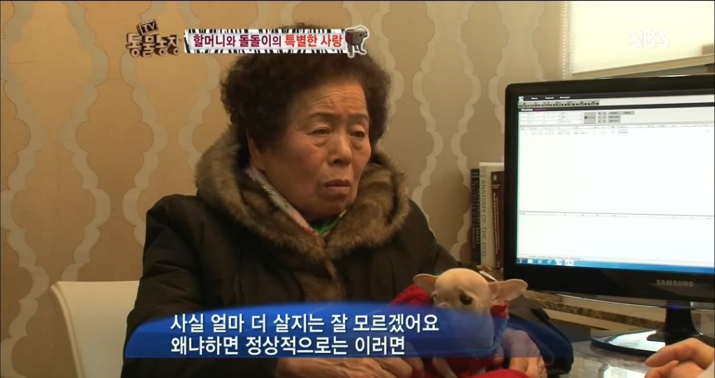 강아지가 안좋은말 들을까봐 귀 막아주는 할머니 | 인스티즈