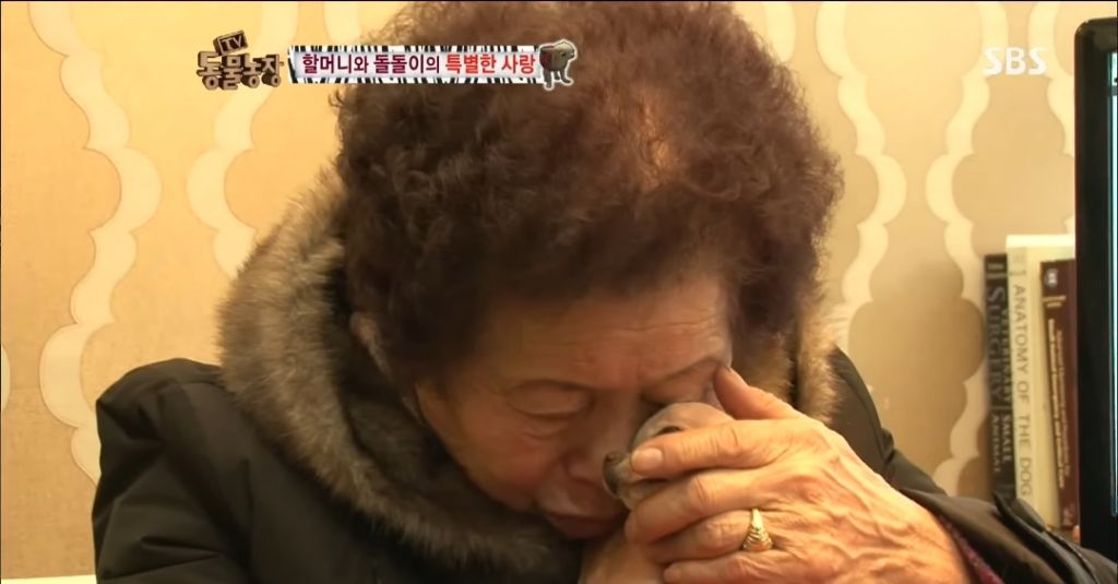 강아지가 안좋은말 들을까봐 귀 막아주는 할머니 | 인스티즈