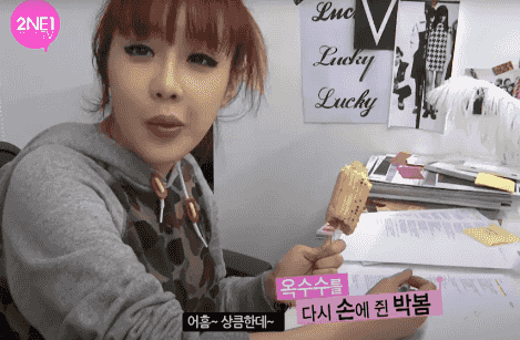 2NE1 박봄 데뷔 전, 데뷔 초 모음 | 인스티즈