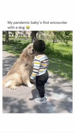 생애 처음으로 강아지를 본 아기 | 인스티즈