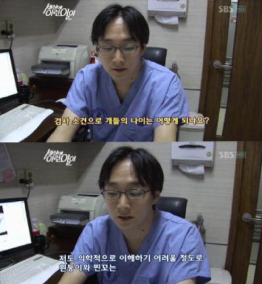 세상에 이런일이에서 나온 강아지 나이.jpg | 인스티즈