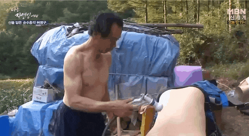 전생에 말벌한테 죽은 꿀벌.gif | 인스티즈