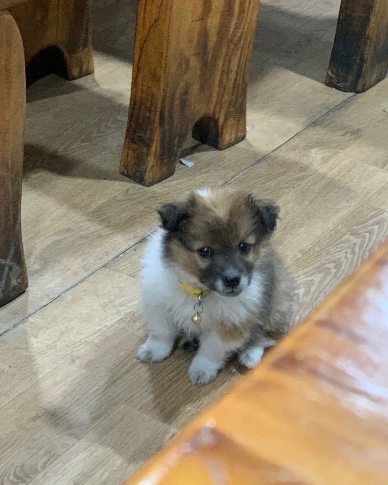 시골에서 절대 혼밥하지 말라는 디씨인.jpg | 인스티즈