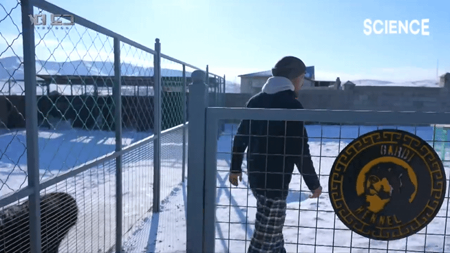 -30도 겨울에 태어나는 몽골 강아지 -상- | 인스티즈