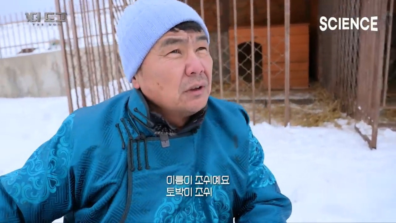 -30도 겨울에 태어나는 몽골 강아지 -상- | 인스티즈