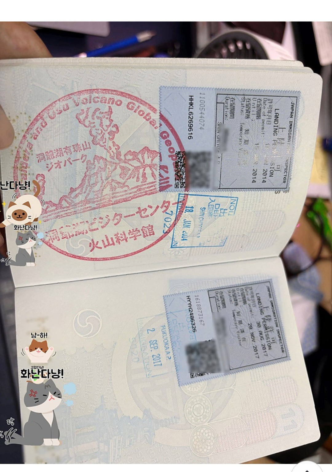 의외로 상당히 흔하다는 여권 훼손 사례 | 인스티즈