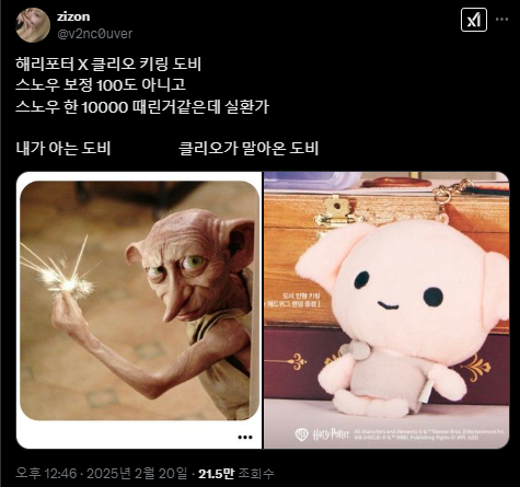 해리포터 X 클리오 키링 도비 스노우 보정 100도 아니고 스노우 한 10000 때린거같은데 실환가 | 인스티즈