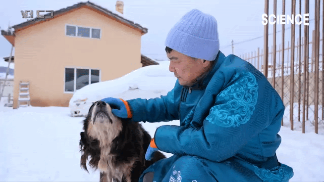 -30도 겨울에 태어나는 몽골 강아지 -상- | 인스티즈