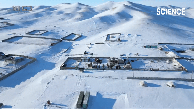 -30도 겨울에 태어나는 몽골 강아지 -상- | 인스티즈