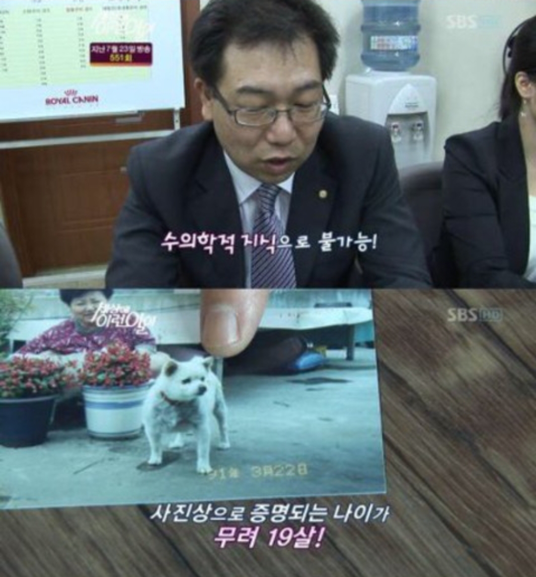 세상에 이런일이에서 나온 강아지 나이.jpg | 인스티즈