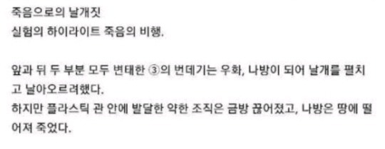 번데기 실험 레전드 (혐 주의 | 인스티즈