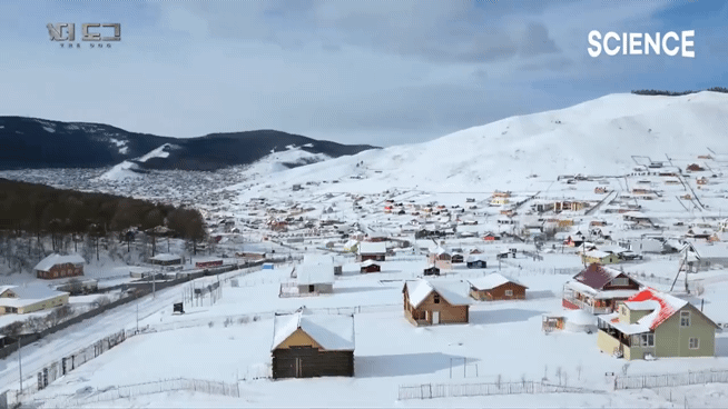 -30도 겨울에 태어나는 몽골 강아지 -상- | 인스티즈